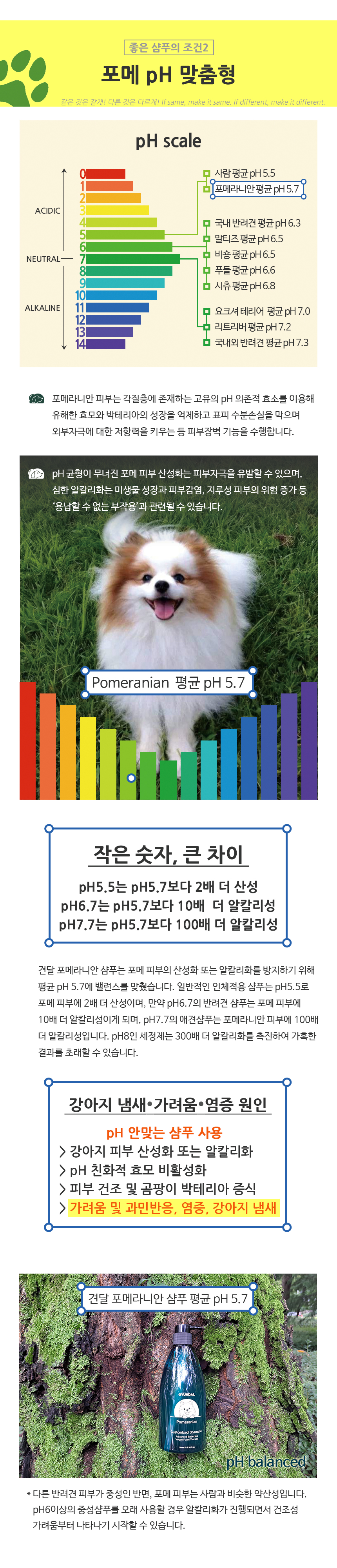 포메라니안전용샴푸